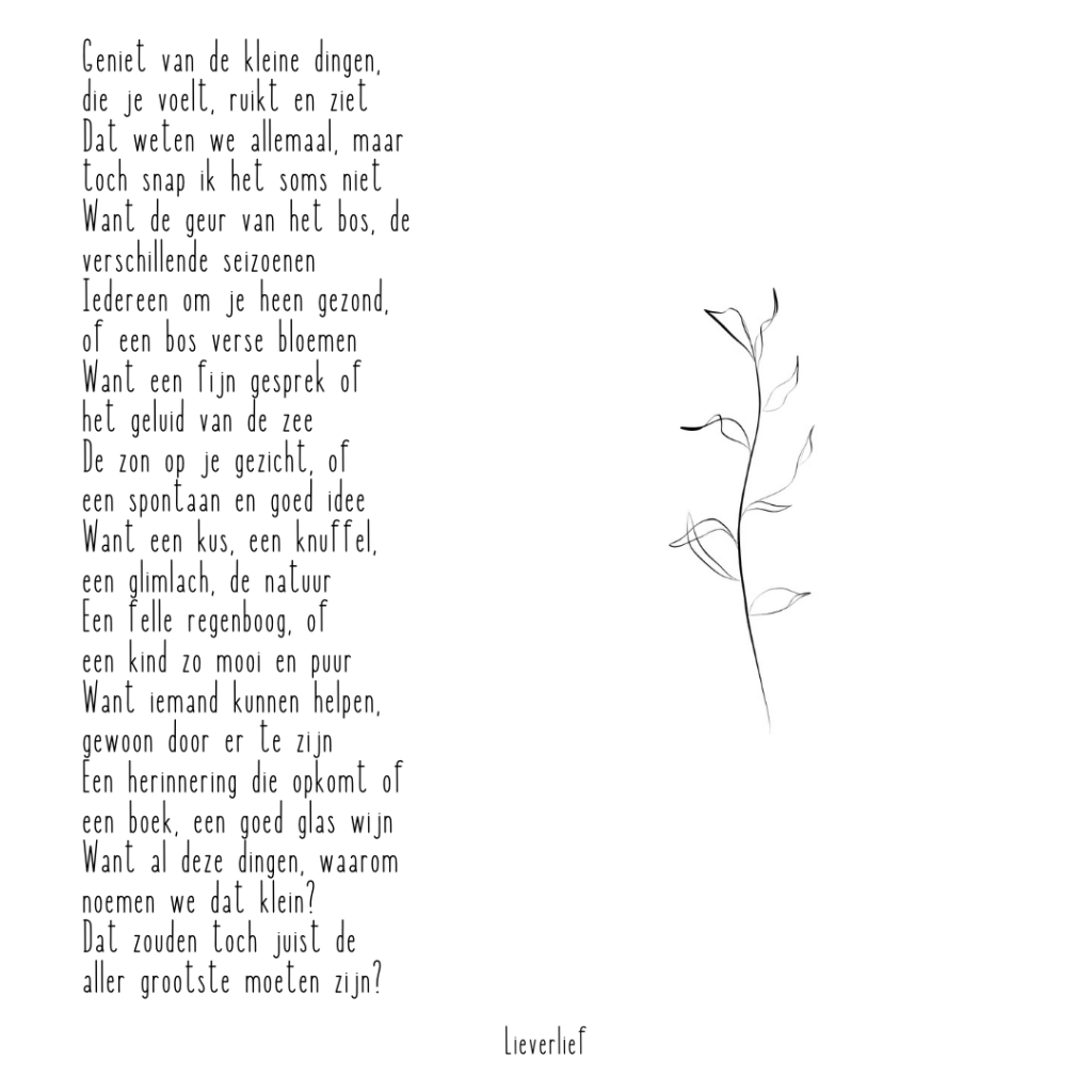 Geniet van de kleine dingen